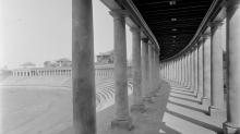 Among the columns of Lambeth Field